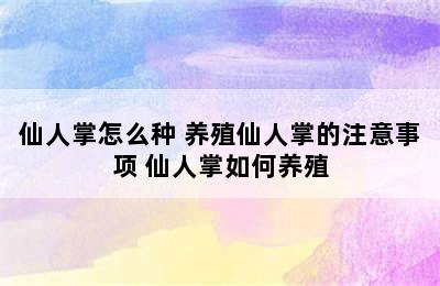 仙人掌怎么种 养殖仙人掌的注意事项 仙人掌如何养殖